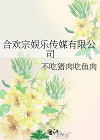 合欢宗娱乐传媒有限公司